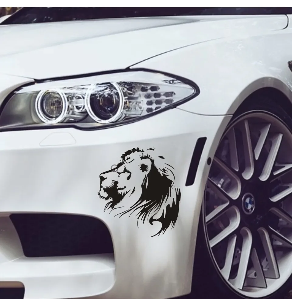 Customized and Decals 3D Cool  - огляд і ціна 3D Printing Car