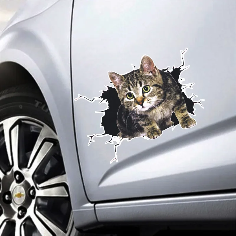 3D Simulation of Cute Cats Pee - огляд і ціна 3D Printing Car