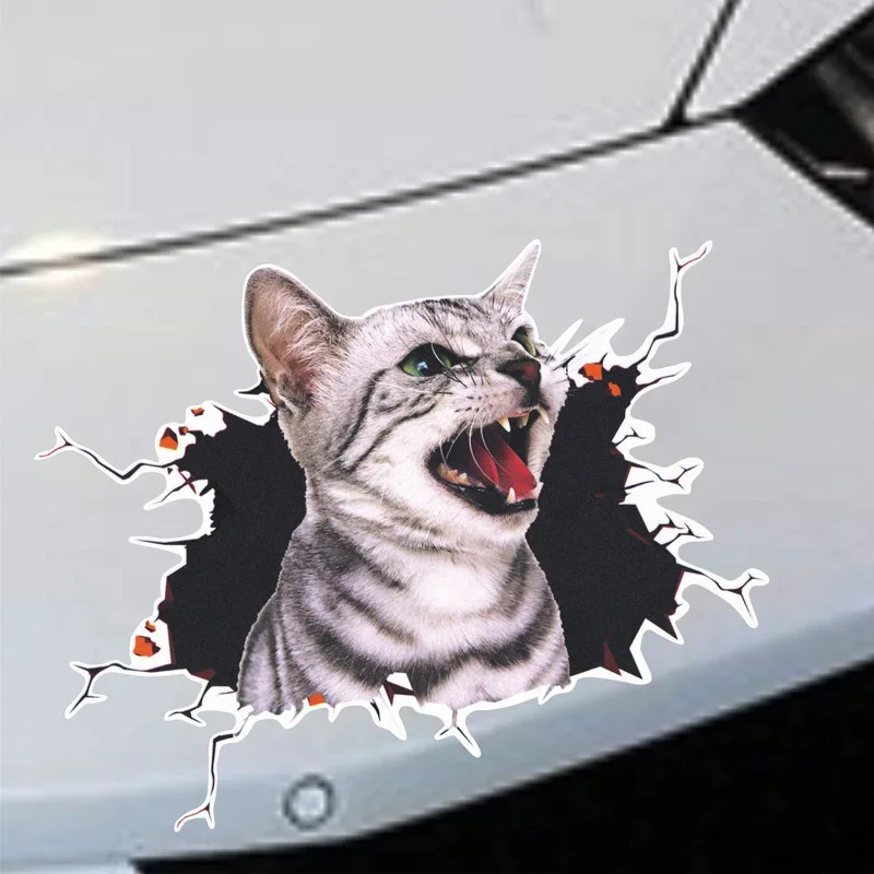 3D Simulation of Cute Cats Pee - огляд і ціна 3D Printing Car