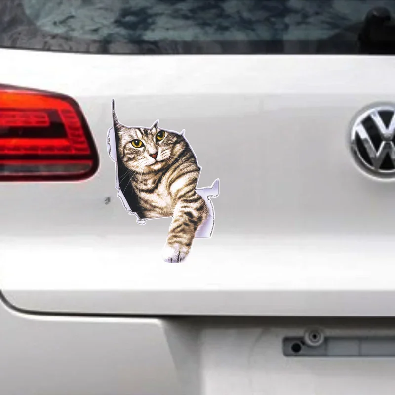 3D Simulation of Cute Cats Pee - огляд і ціна 3D Printing Car